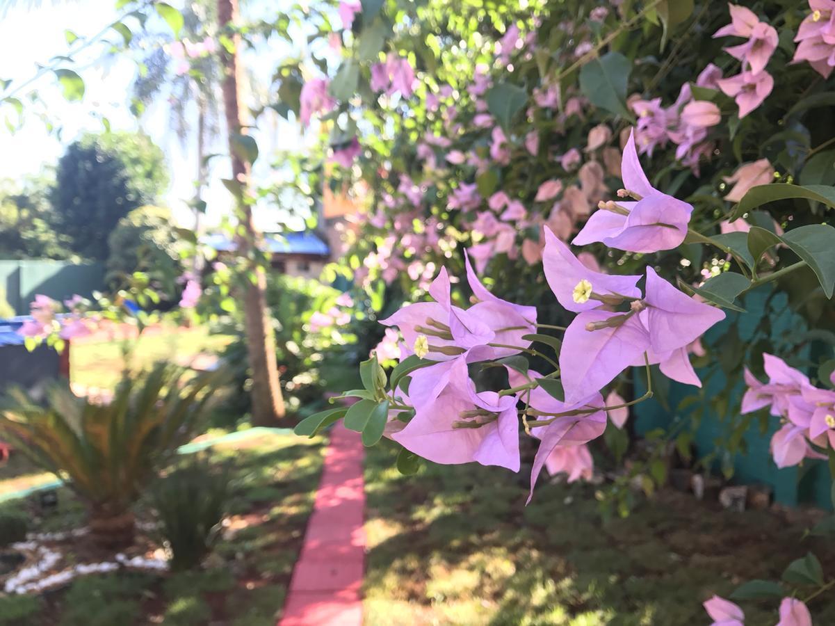 Hotel Amayal Puerto Iguazú Eksteriør billede